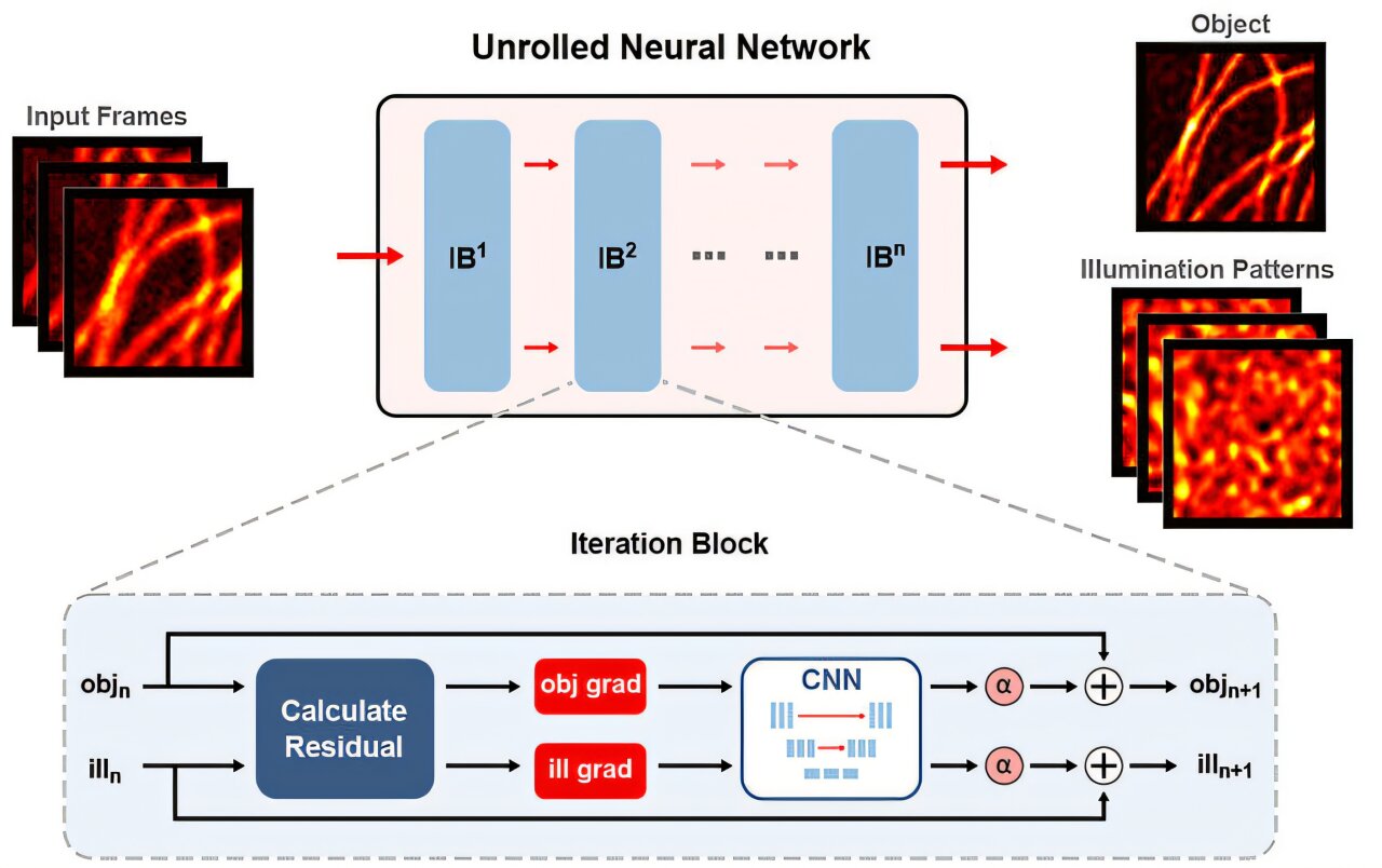 AI-enhanced microscopy produces crisp, real-time video inside live cells