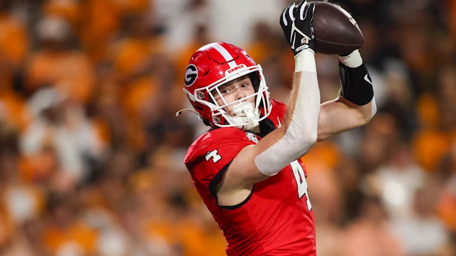 Georgia guru gives Saints fans inside look on high ceiling of Oscar Delp