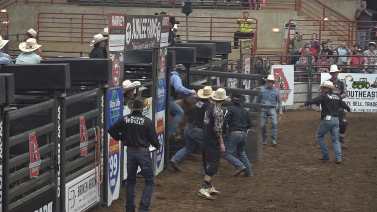 Houston County Sheriff Matt Moulton rides bull for Georgia Sheriffs ...