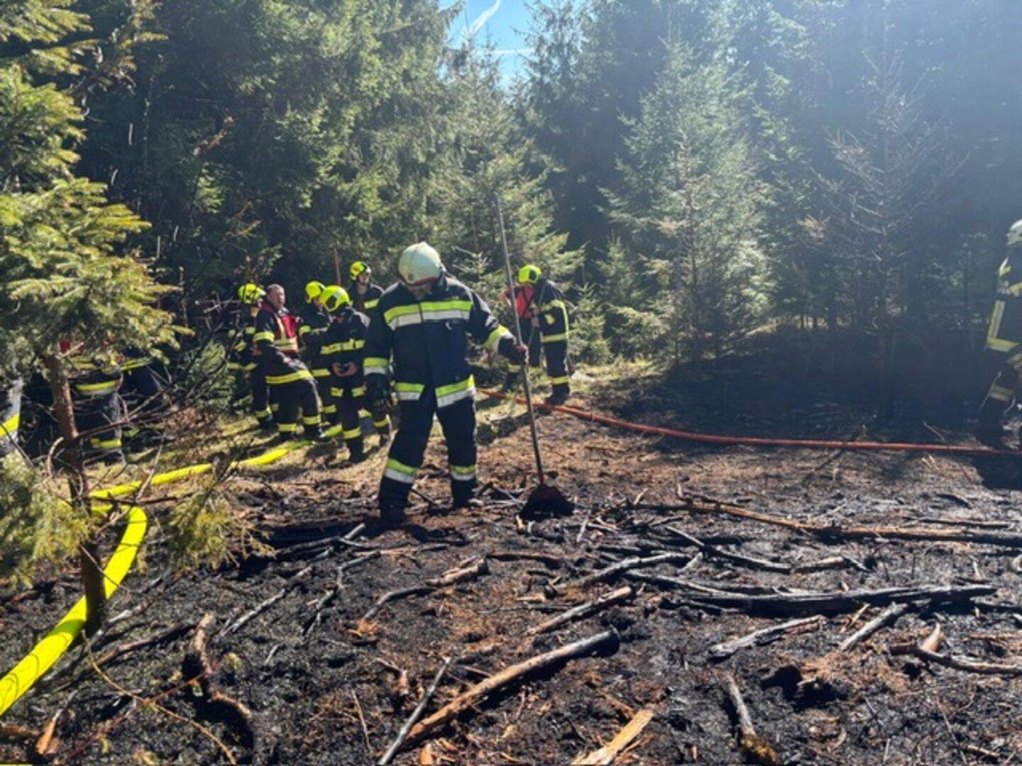 Unkontrollierter Waldbrand im Kreis Gotha bedroht Anwohner (mit Video