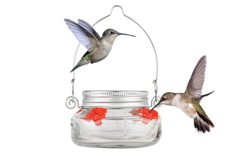 Amazon quietly dropped prices on customer-loved hummingbird feeders—and ...