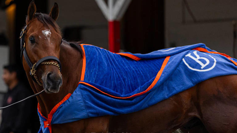 Todd Pletcher embraces tough Derby draw for favorite Renegade