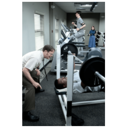 Challenge your muscles: How muscle building works