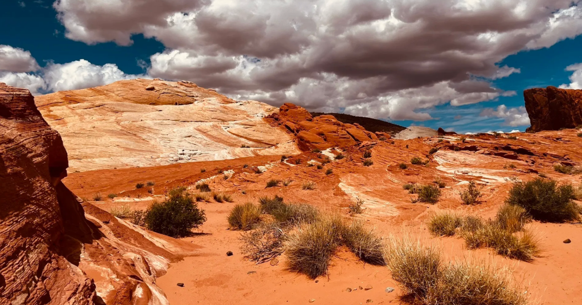 4 beautiful trails in Nevada that shine in spring