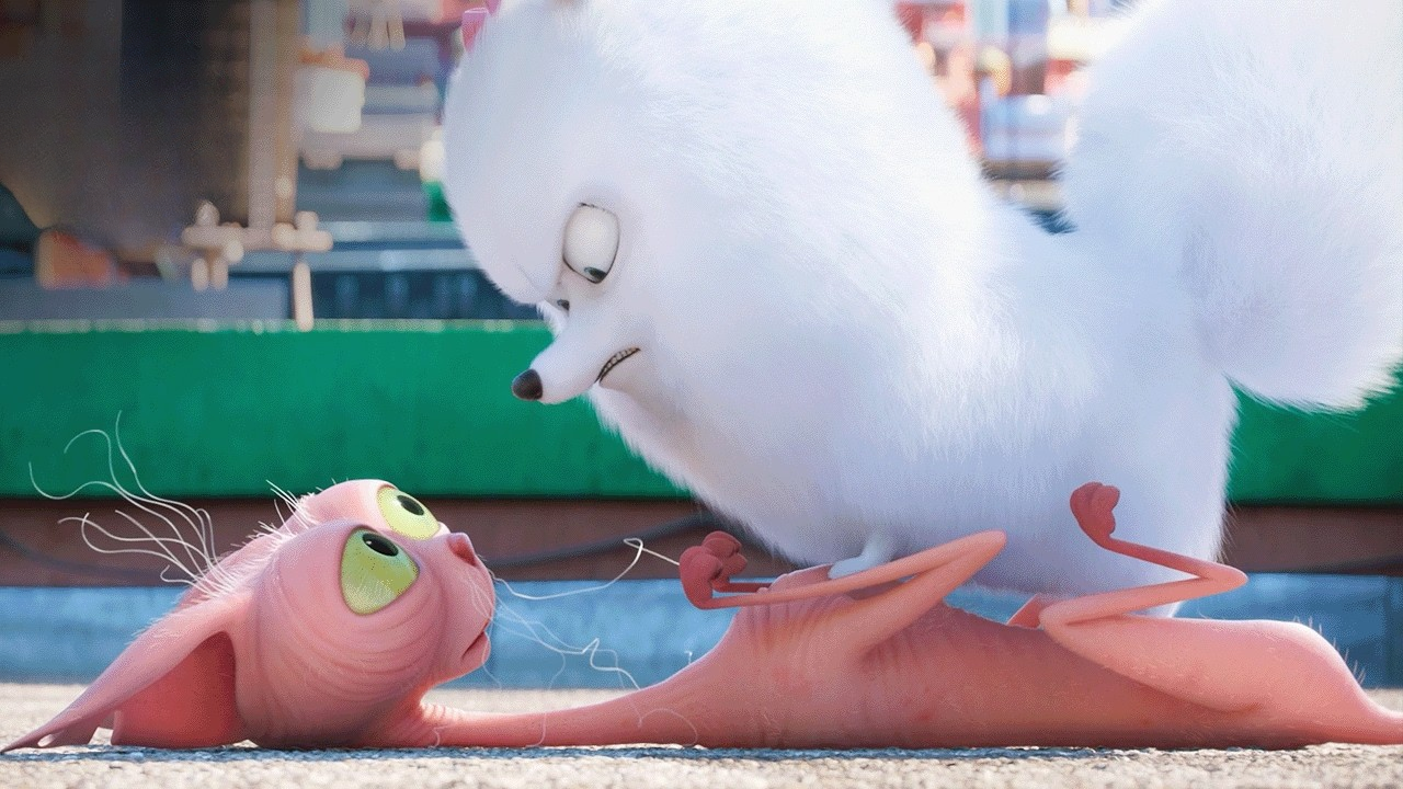 Gidget leads the epic mission to rescue Max – The Secret Life of Pets