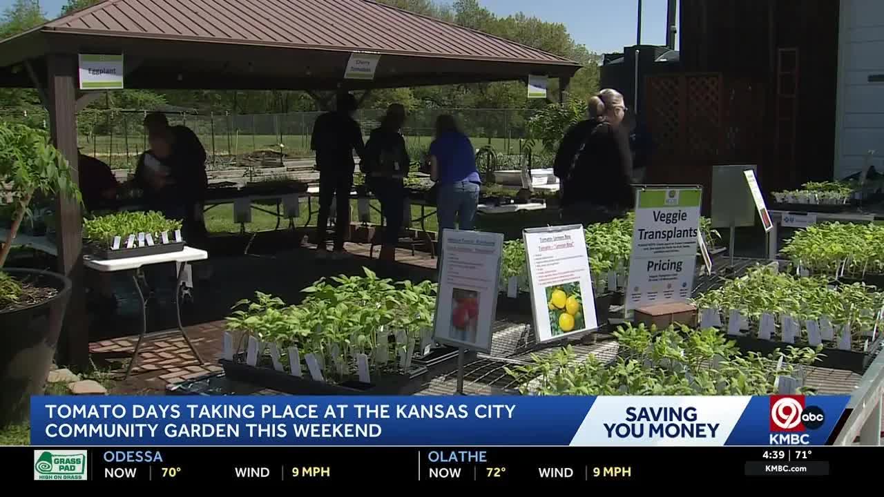 Kansas City Community Gardens 'Tomato Days' sale offers fresh produce ...