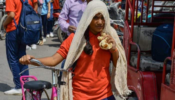 India Heatwave: Doctors Warn of Heart, Kidney & Reproductive Risks - health news from Zee News