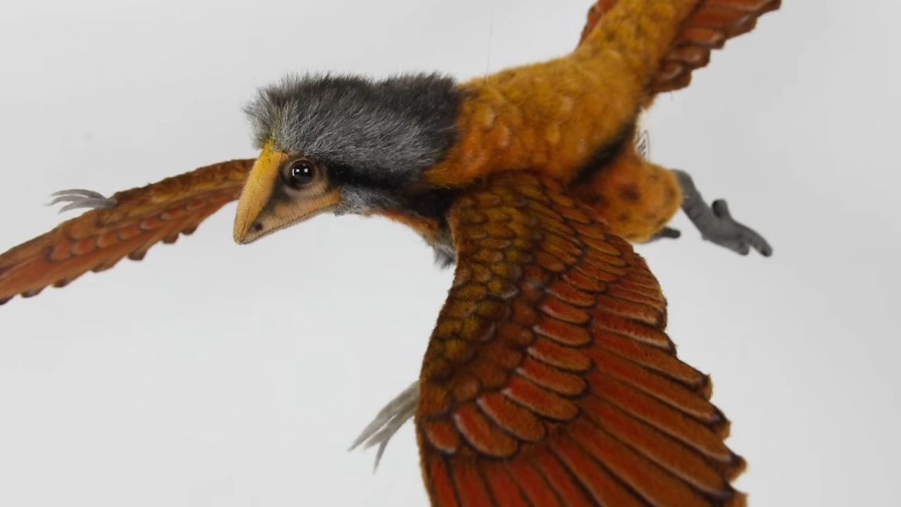 From dinosaurs to birds: The evolution that changed the sky