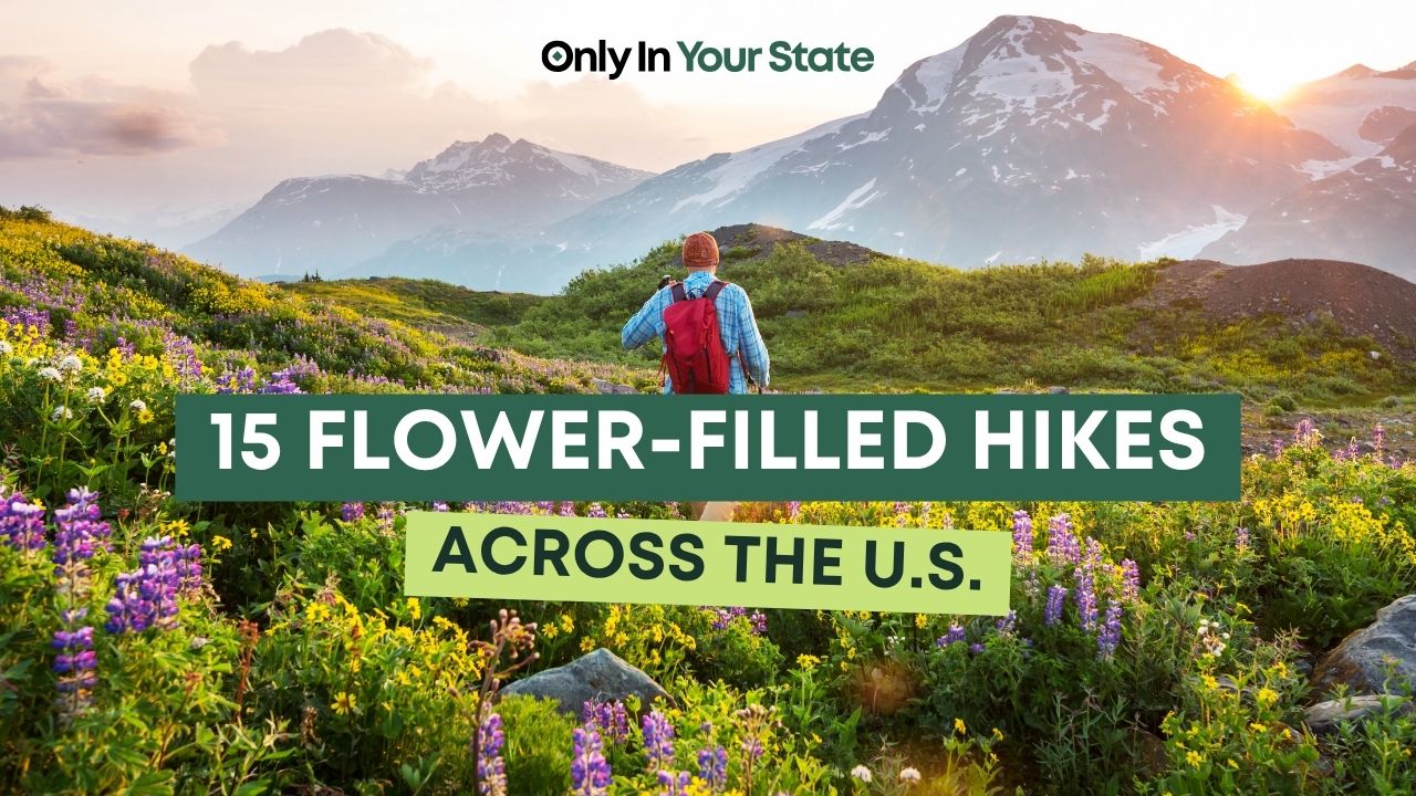 15 flower-filled spring hikes across the US