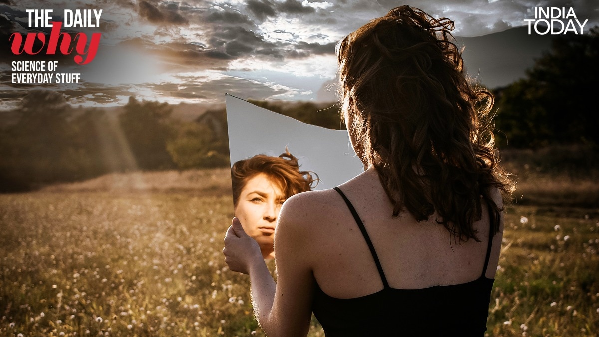 Why does a mirror flip your image? Spoiler, your brain is playing ...