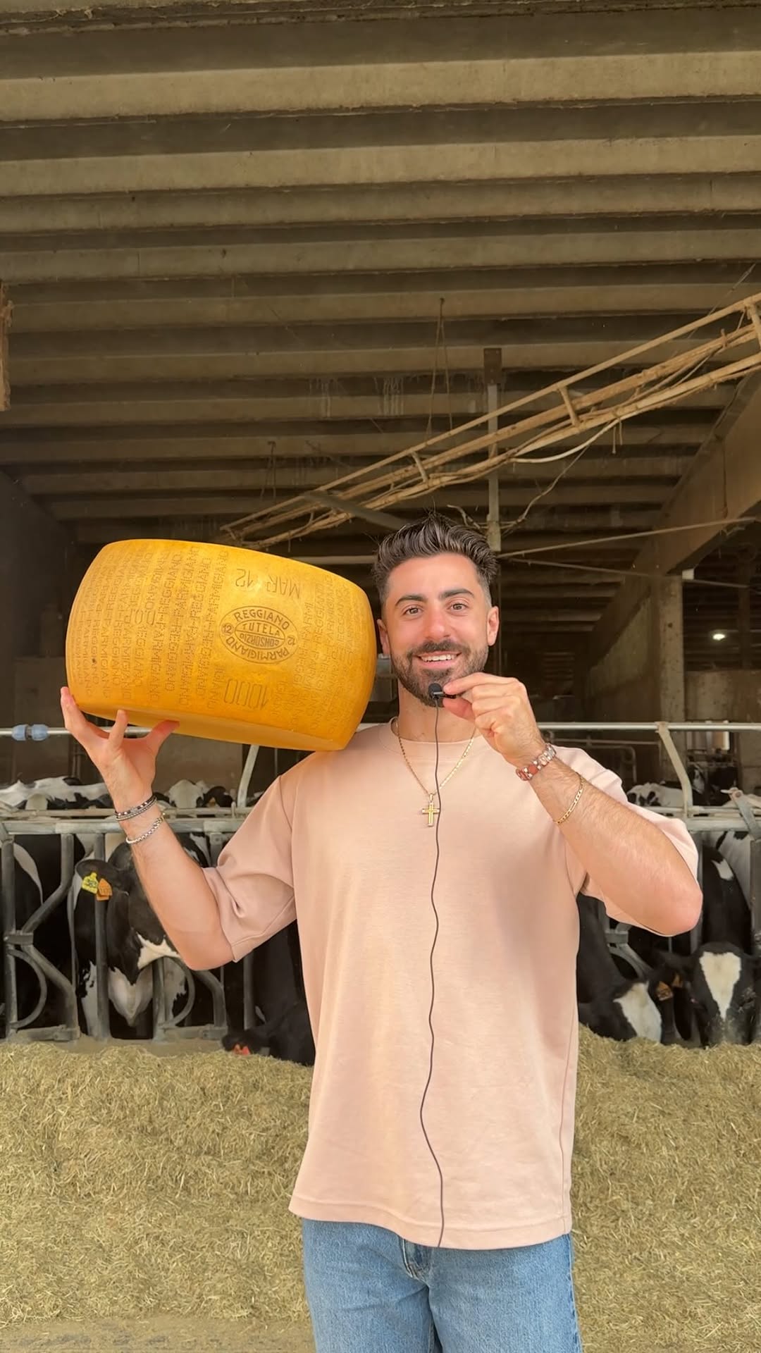This iconic Italian cheese needs at least 12 months of aging before you ...