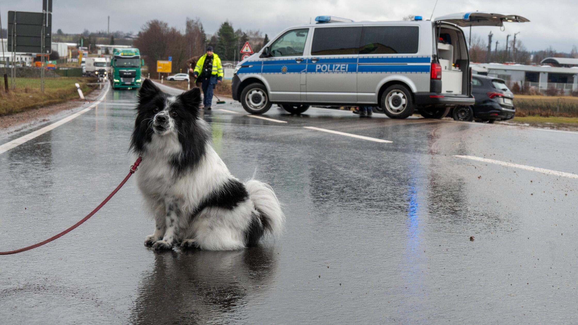 Unfall Mit Hund