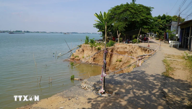 Ứng phó với sạt lở: Đồng Tháp triển khai các giải pháp mềm, 'thuận thiên'