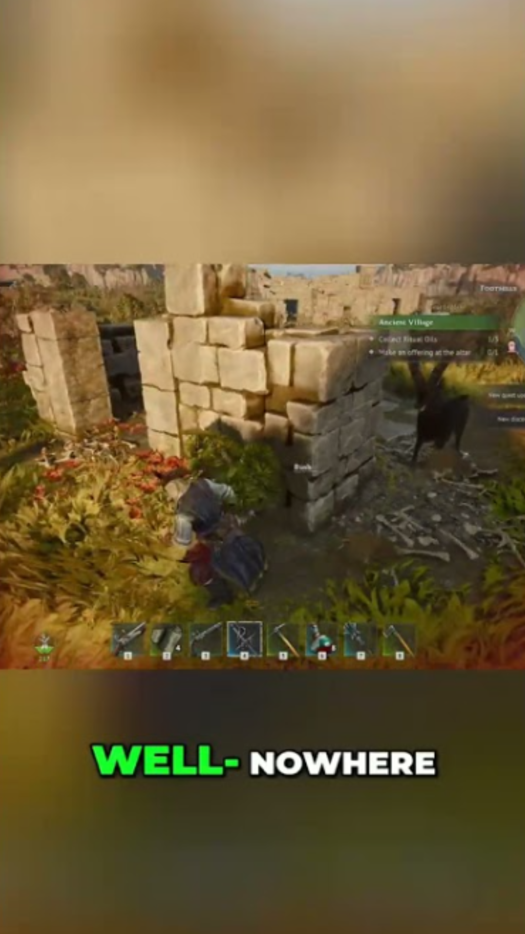 Goat Chaos! Im Ringing Around The Goat!