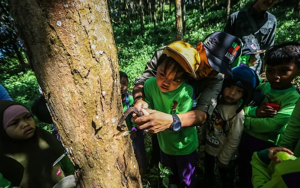 Playful paths to powerful learning for kids