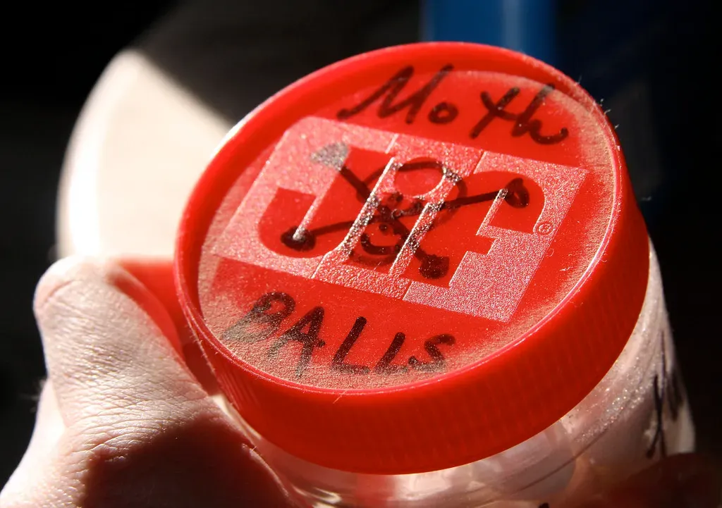 10 disturbing items hiding in closets and storage rooms that aren't ...