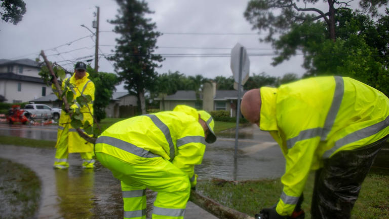 Why nature is Florida’s best teacher for stormwater management | Column