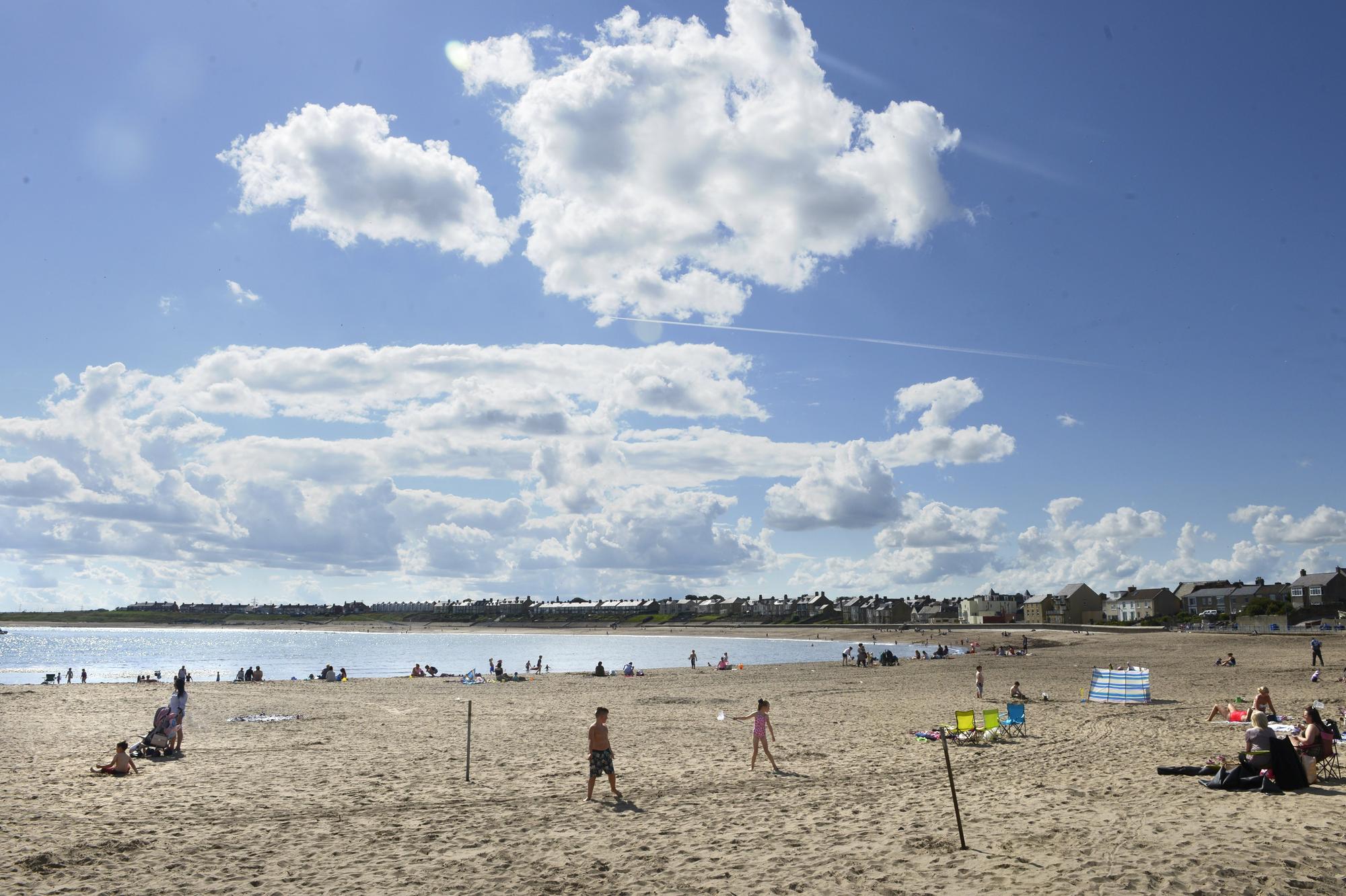 Partial dog ban set to be introduced for summer at two beaches in ...