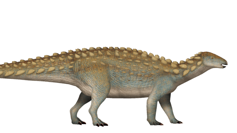 Dinos unter Berlin: Warum man sie (noch) nicht finden kann
