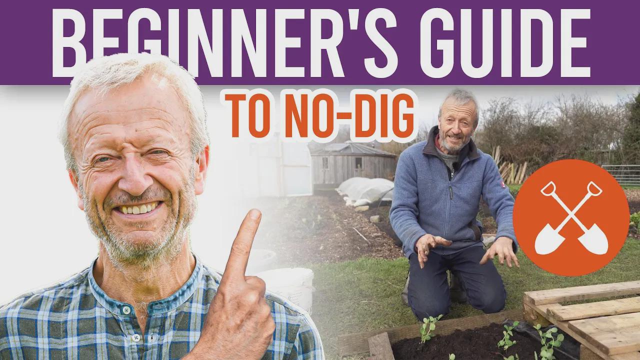 How to build a no-dig garden bed and the benefits of composting