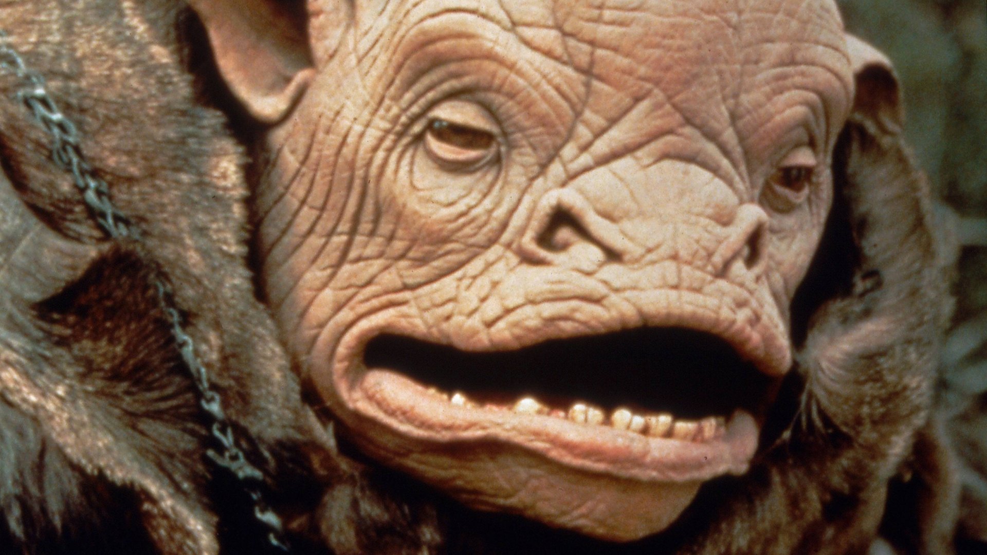 Steven Spielberg: Für diese Sci-Fi-Serie à la „Star Trek“ schämt sich ...
