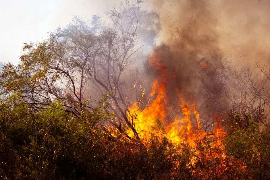 I asked climate scientists which US regions are becoming unlivable ...
