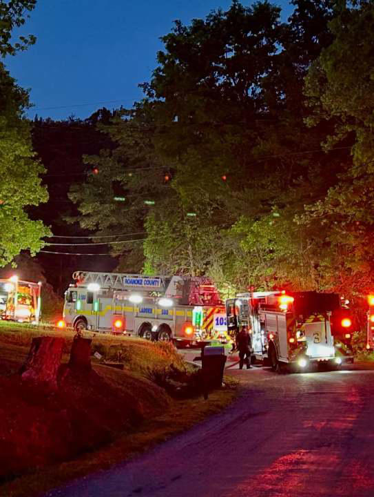 Roanoke County firefighters rescue dog from house fire