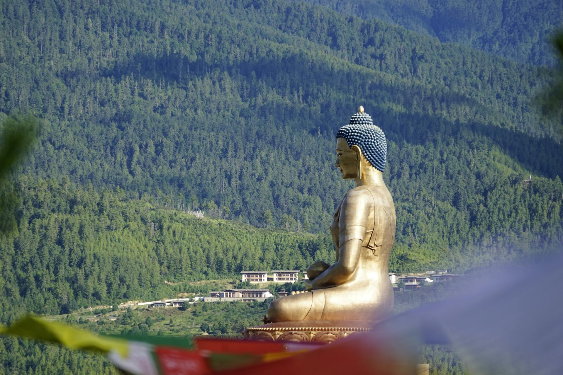 Discover the country with the cleanest air on the planet