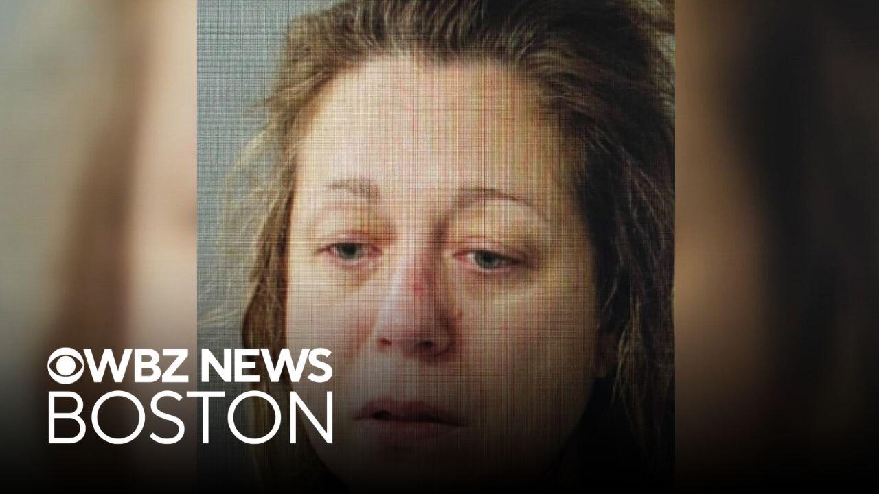 Wellesley mother due in court in Vermont in connection with deaths of ...