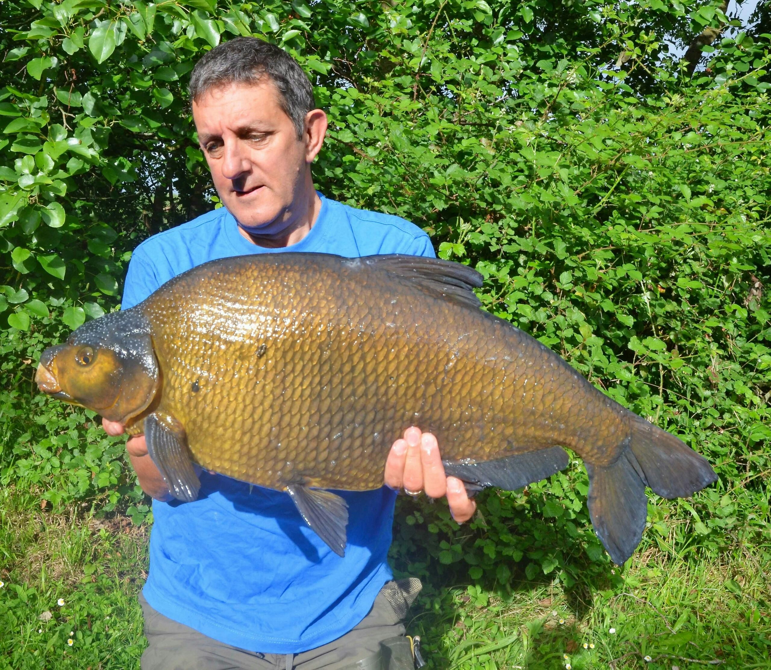 How to catch specimen bream