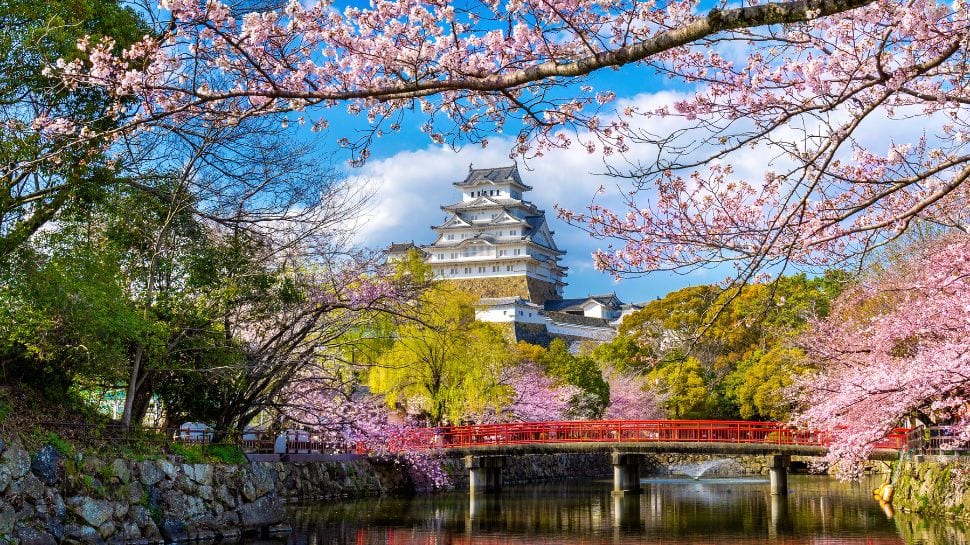 World's 'most eye-catching' train journey: 25-minute ride along a river ...