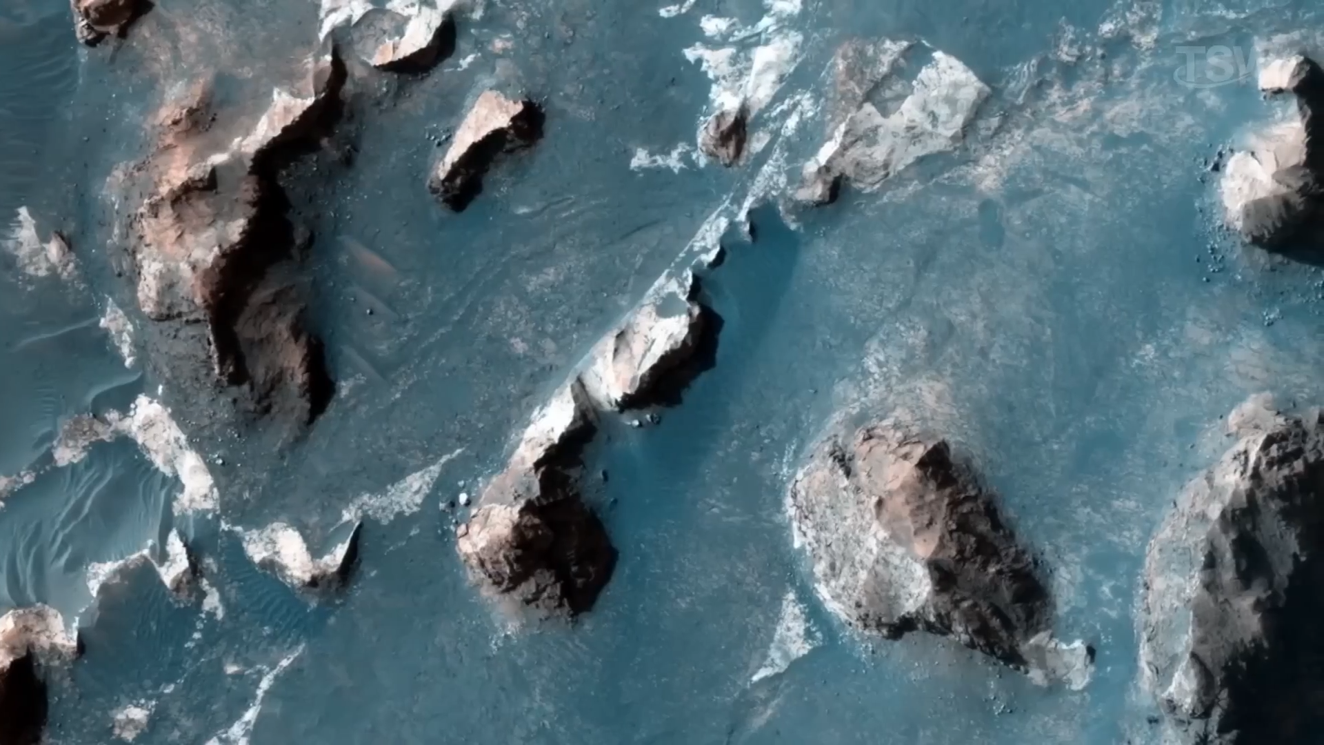 The “trees on Mars” illusion: The science behind the viral mystery