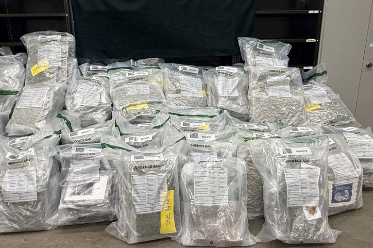 Almost €5.2 million worth of cannabis seized in joint agency task force ...