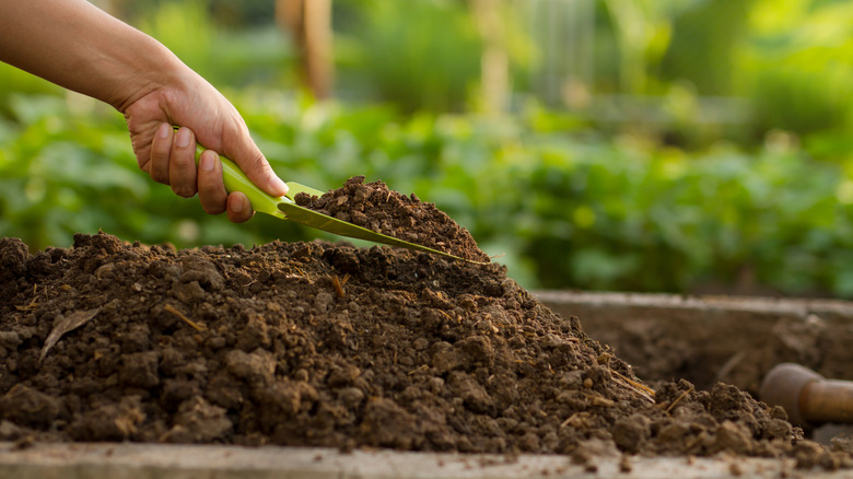 Topsoil vs garden soil: What's the difference and why it matters