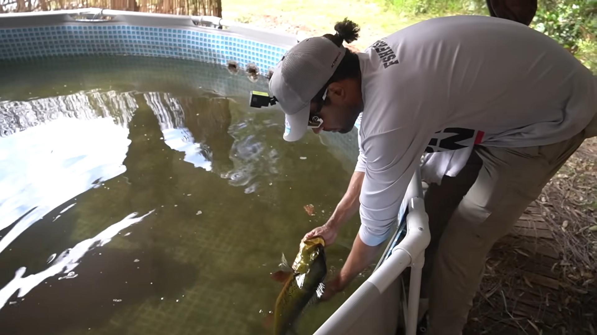 How we caught a monster fish to bring home alive