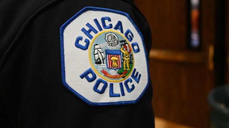 Chicago police officer fatally shot, another critically injured in ...
