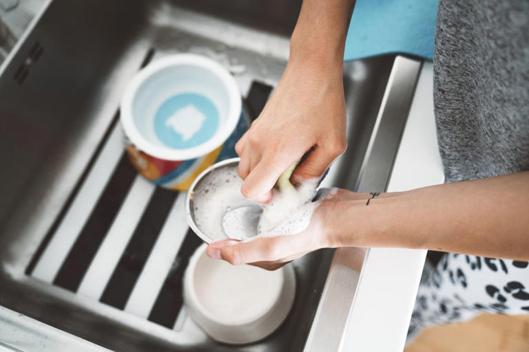 You've been washing your pet bowls wrong—cleaning pros say you should ...