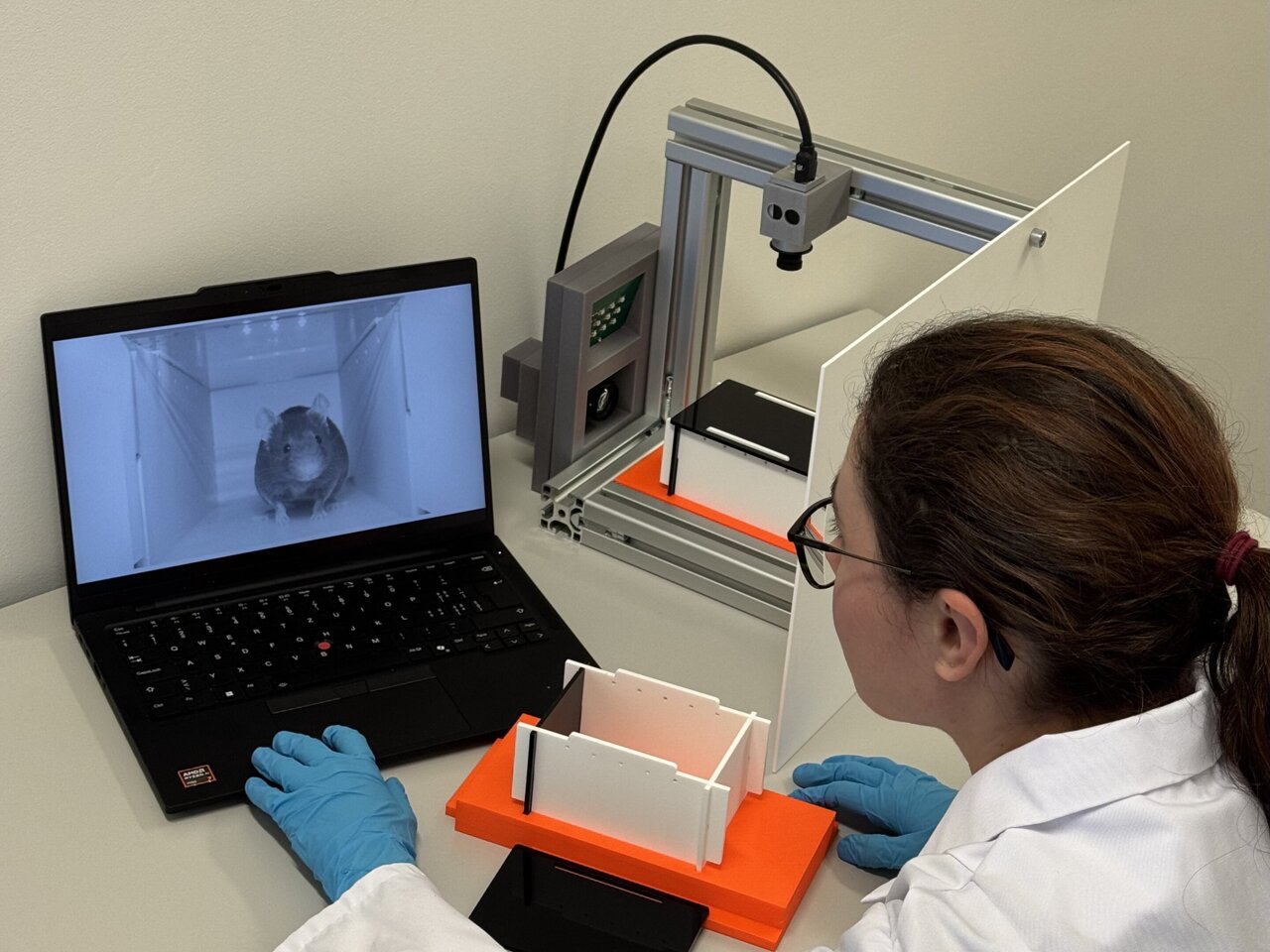 Improving animal welfare in the lab: AI helps better detect pain