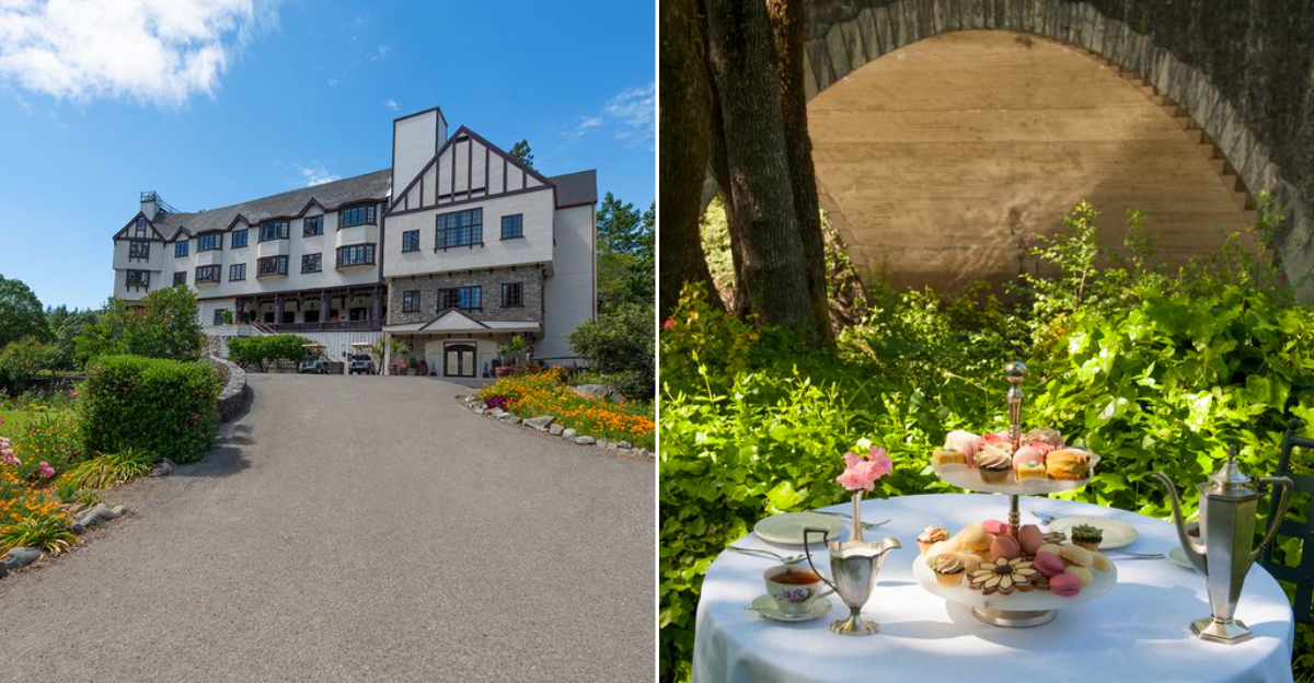 The Redwood, California, Forest Landmark Where History Meets a New ...