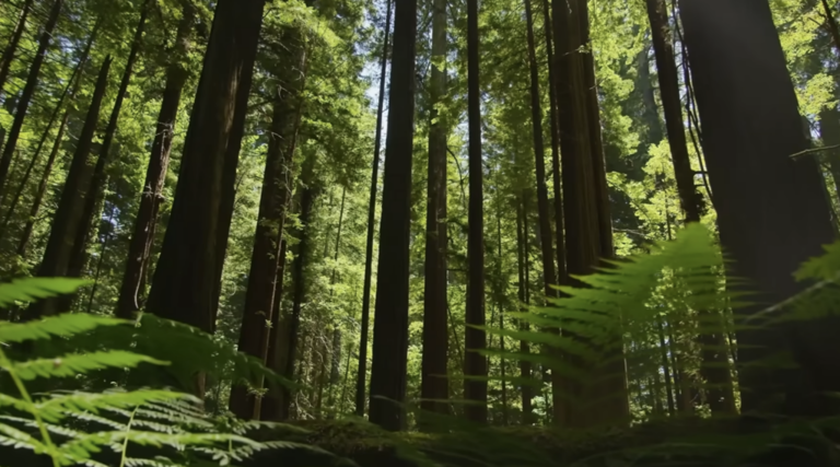The Devonian period was stranger and more dangerous than you think