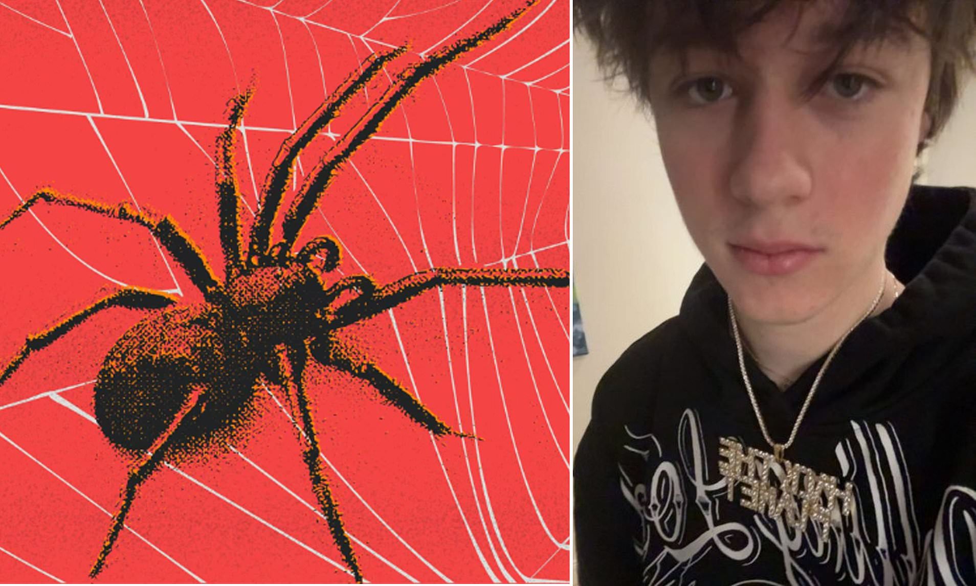 American teenager's high-flying double life as mastermind hacker exposed