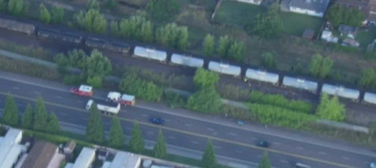 Pedestrian dies after being struck by train in Sacramento County ...