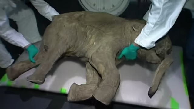 Scientists are bringing the dead back to life... and it could change ...