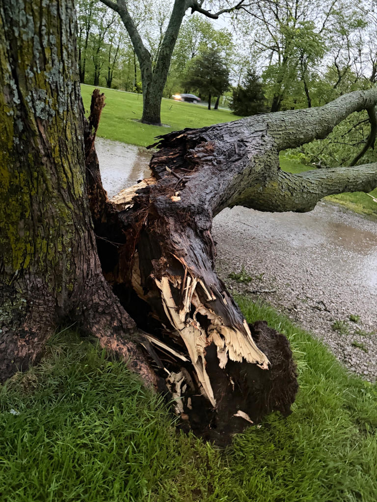 Photos: Damage left behind after storms roll through Kansas City metro