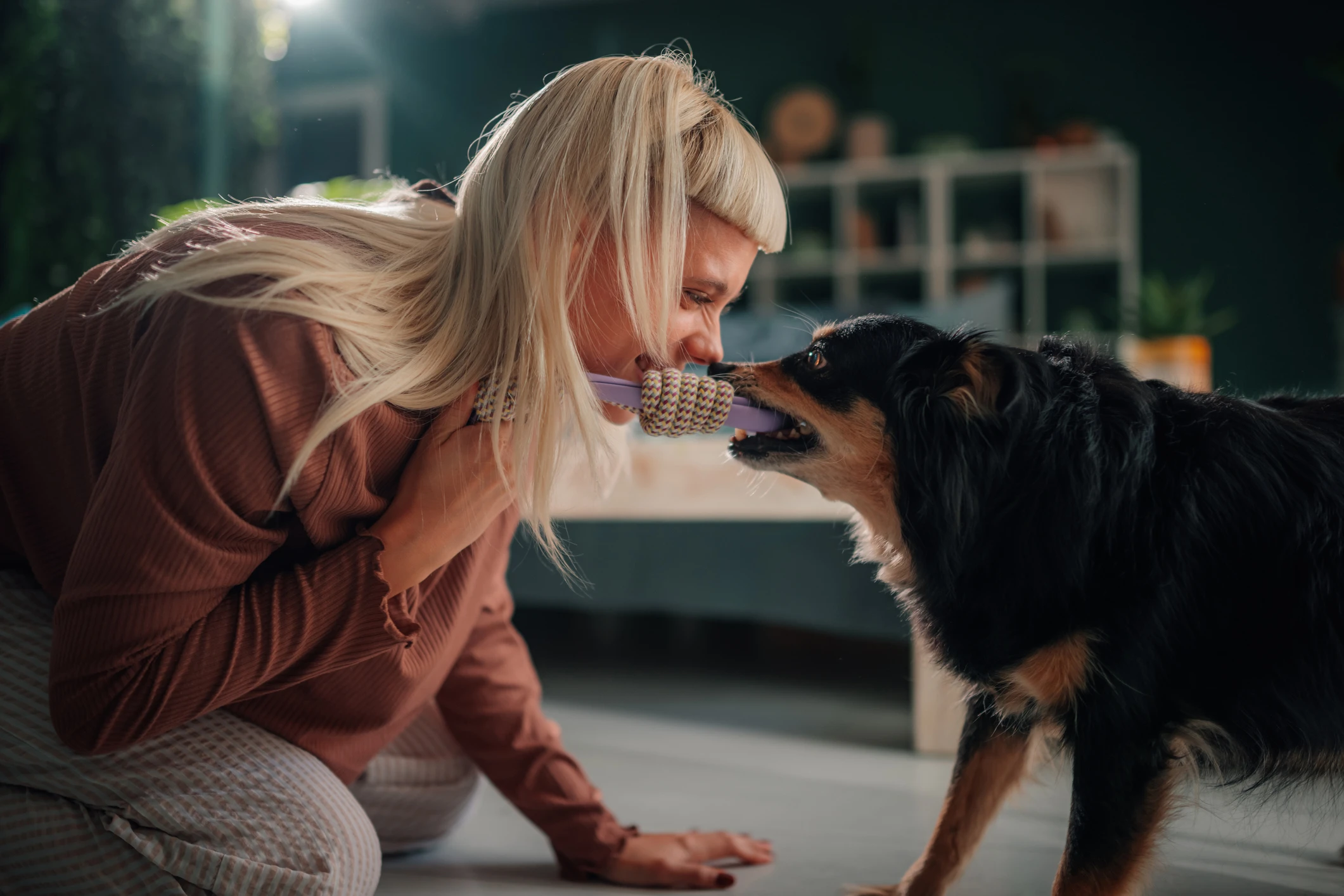 Un legame più forte con il cane? Si costruisce giocando i giochi giusti ...