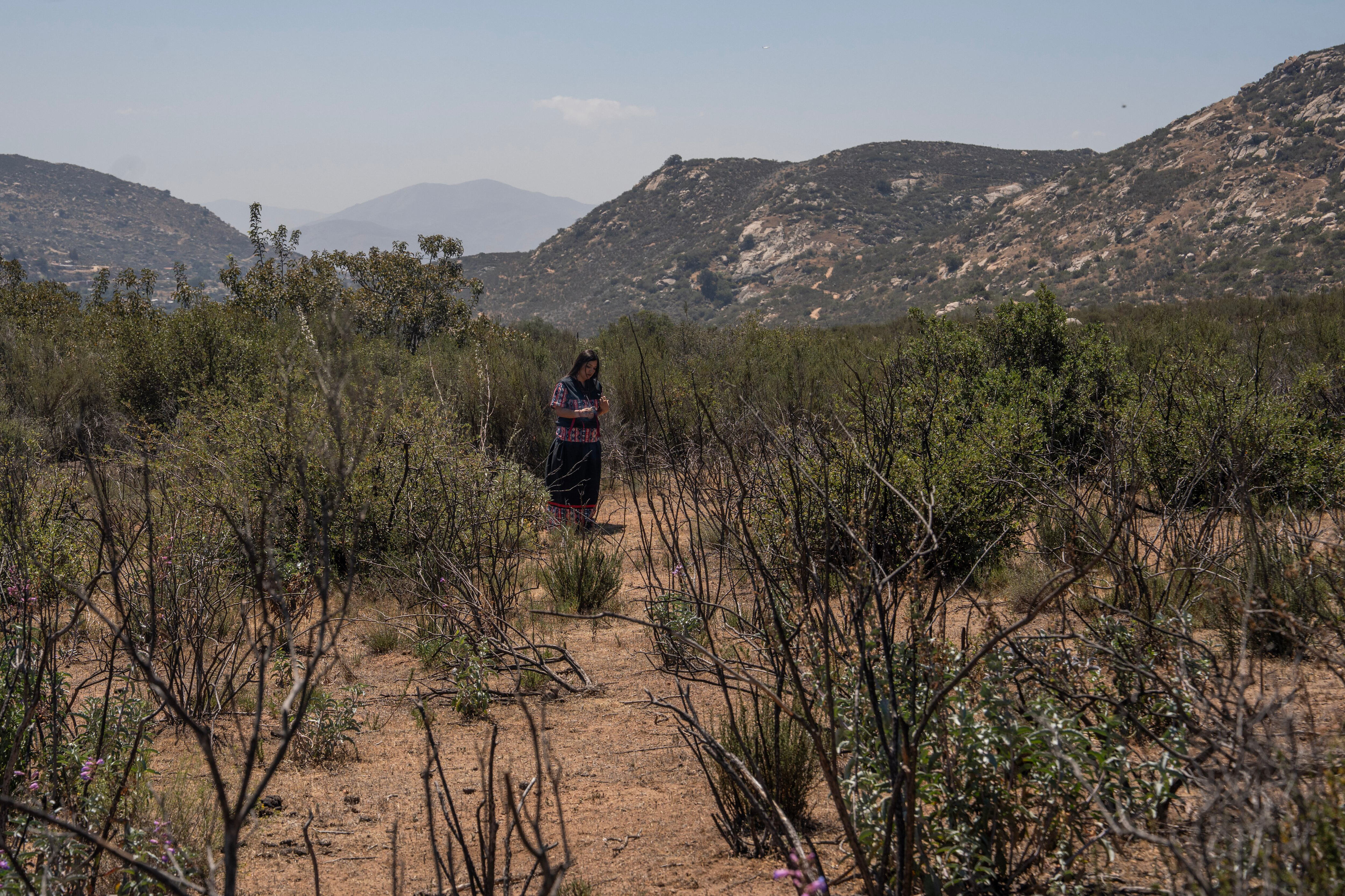 The US border wall is encroaching on Kumiai sacred territory