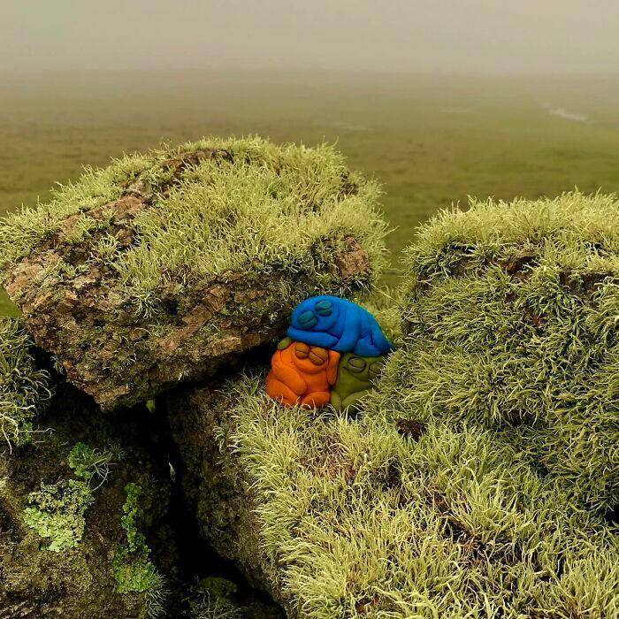 Hand-sculpted creatures with unique personalities (41 pics)