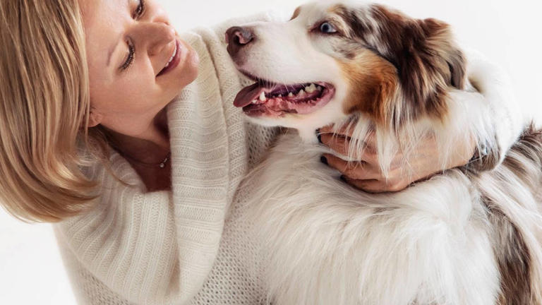 7 subtle signs your dog loves you that owners miss