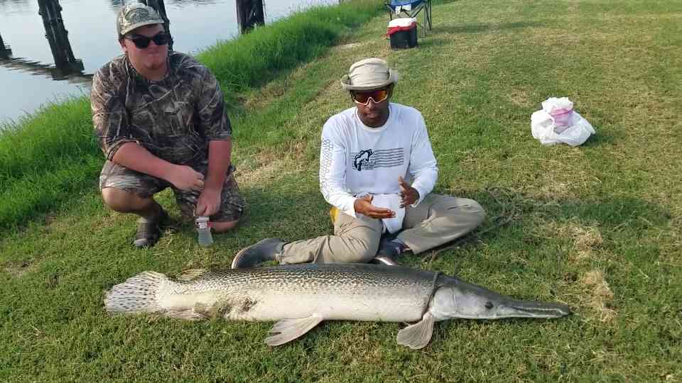 Bringing my 6’2 giant fish home