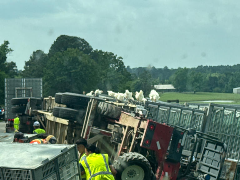 Chickens on the run after tractor-trailer crash in Smith County